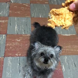 Meet your Posher, Lory